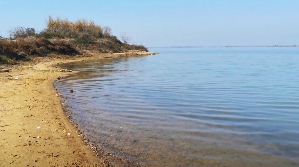 穿越武汉江夏郊区百里湖泊,骑行绿道边这条水上公路,风景秀美 穿越武汉江夏郊区百里湖泊,骑行绿道边这条水上公路,风景秀美