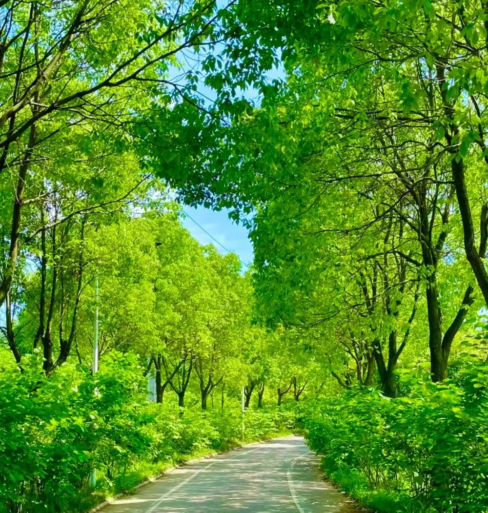 在武汉江夏区有一个露营烧烤的好地方 在武汉江夏区有一个露营烧烤的好地方