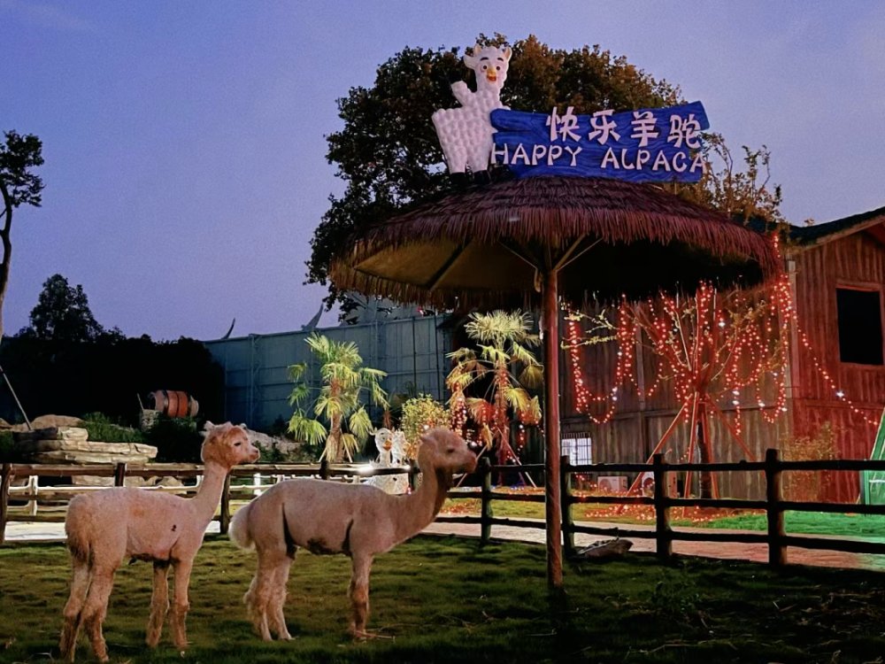 江夏梁子湖边的宝藏夜游地 江夏梁子湖边的宝藏夜游地