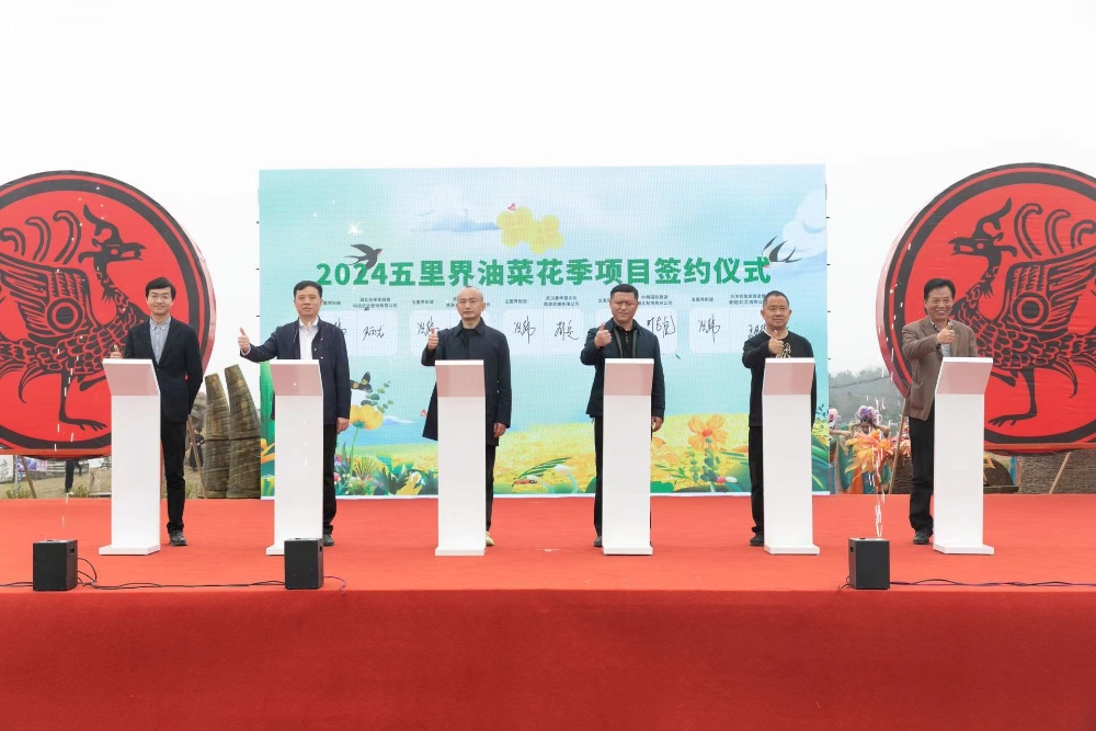 楚风油菜花季开幕了!穿汉服可享半价入园 楚风油菜花季开幕了!穿汉服可享半价入园