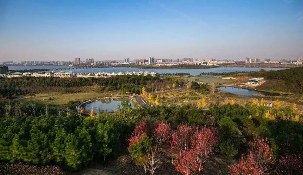 江夏竟然有这么多好玩的地方 你都去过吗？