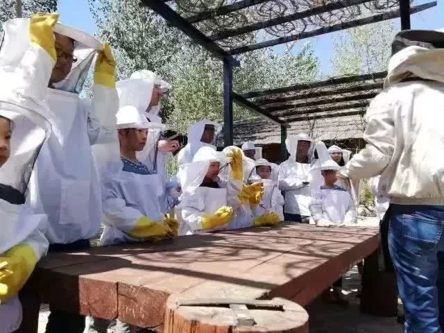 江夏竟然有这么多好玩的地方 你都去过吗？