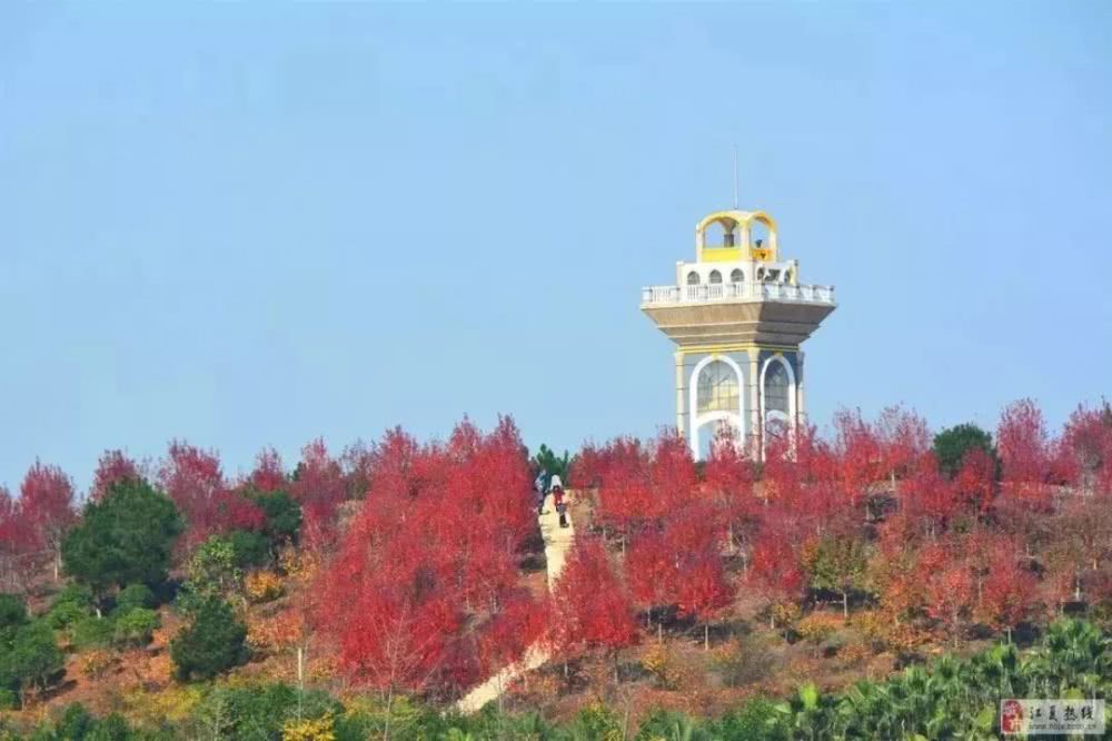 江夏竟然有这么多好玩的地方 你都去过吗？