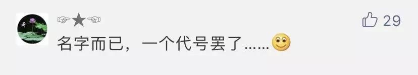 洋地名太多！江夏一批小区可能要改名？你对此怎么看？