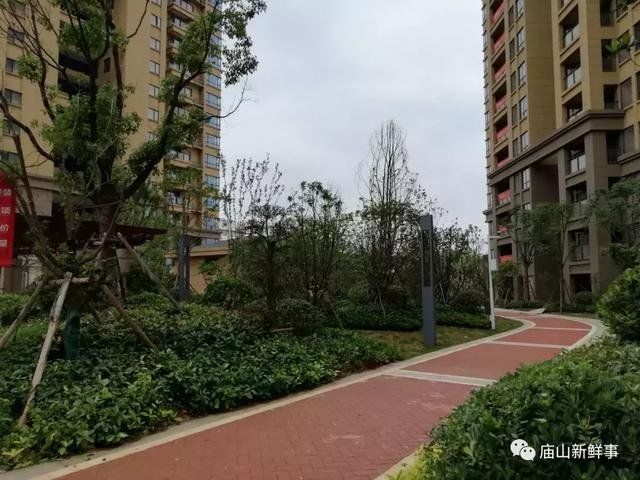 江夏庙山一楼盘即将交房！附最新实拍组图！