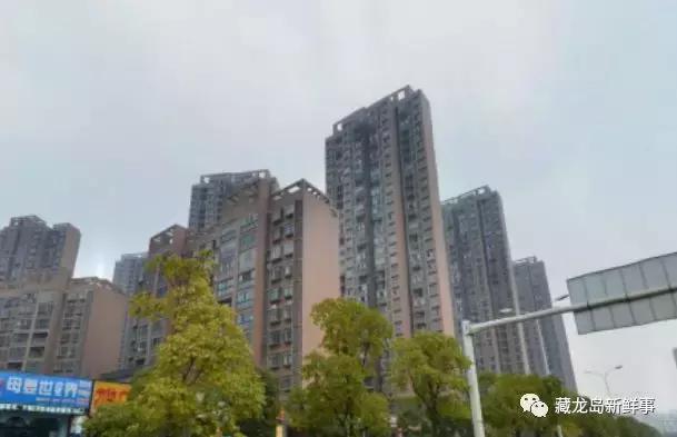 江夏藏龙岛一小区想换物业遇障碍！老物业不愿意走！