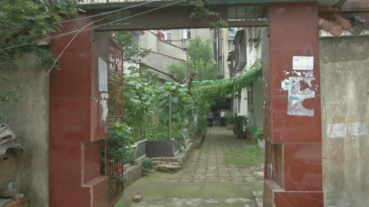“千年”铁树开花啦！江夏人可见过？