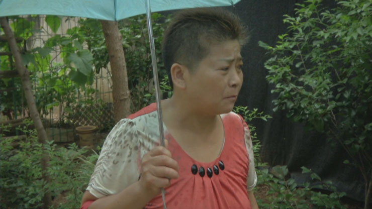 “千年”铁树开花啦！江夏人可见过？