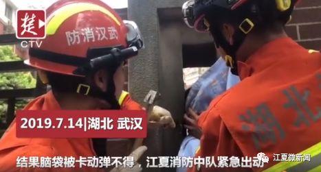 江夏一“熊孩子”钻围墙回家，没想到“穿越”失败，被卡住了脑袋...