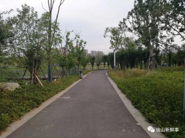 组图实拍！江夏这个公园你去过吗？风景美得如一幅画！