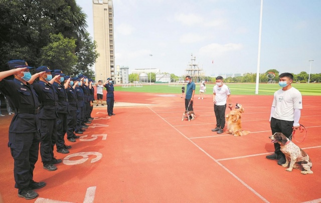 功勋“汪”退休愉快！藏龙岛这里的10只搜救犬集中退役！