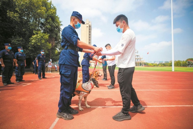 功勋“汪”退休愉快！藏龙岛这里的10只搜救犬集中退役！