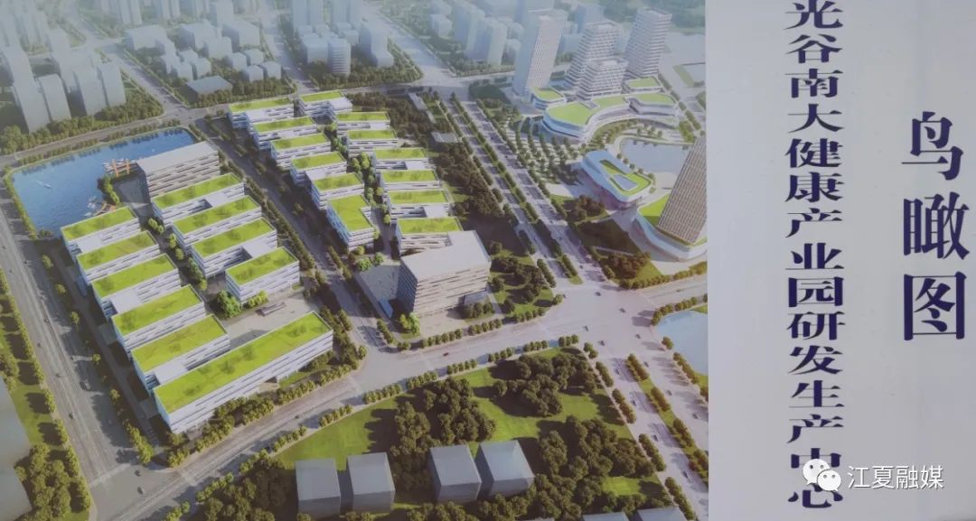 江夏区委书记王清华调研光谷南大健康产业园 现场推进园区建设工作