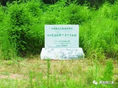 江夏南八乡，一个承载了太多记忆的地方！