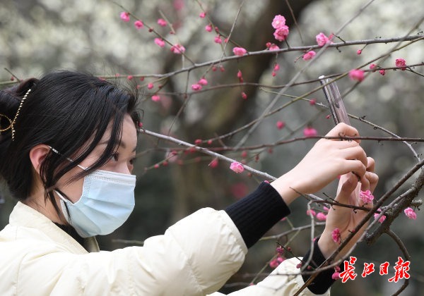 晴晴晴！周末最高气温冲上23℃，武汉有望开启入春进程