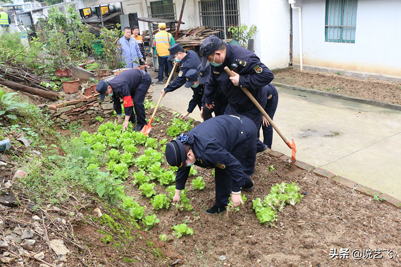 武汉市江夏区城管局，大力整治在铁路沿线，圈地种菜行为