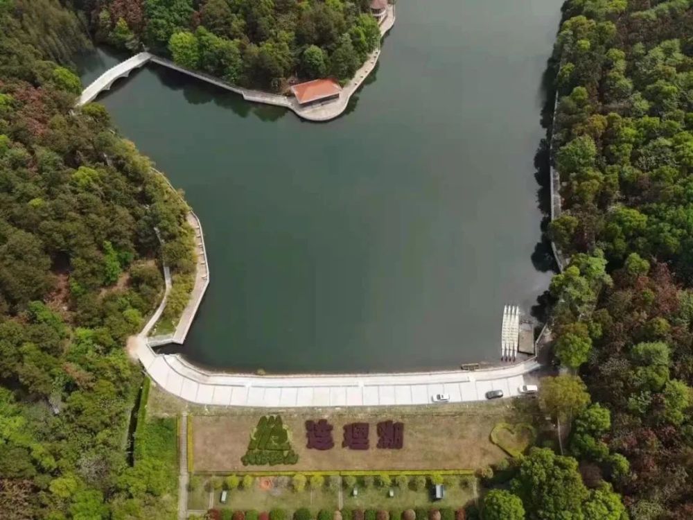 武汉市民 这些景点免费游玩！还有这些新变化……