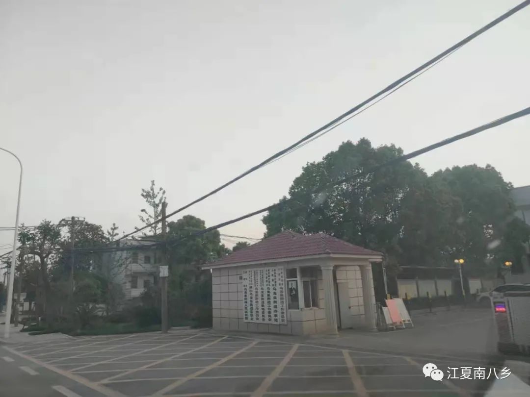 “五一”江夏北、江夏南、双溪桥、涂家垴、谷城县见闻