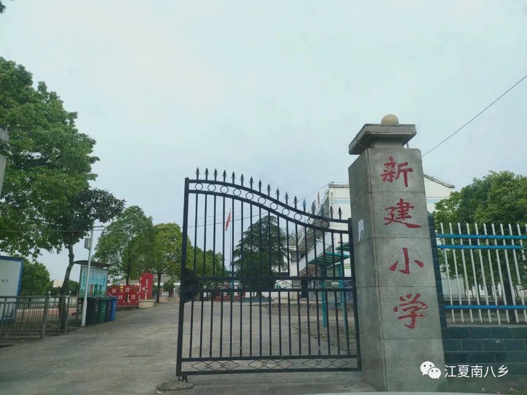 “五一”江夏北、江夏南、双溪桥、涂家垴、谷城县见闻