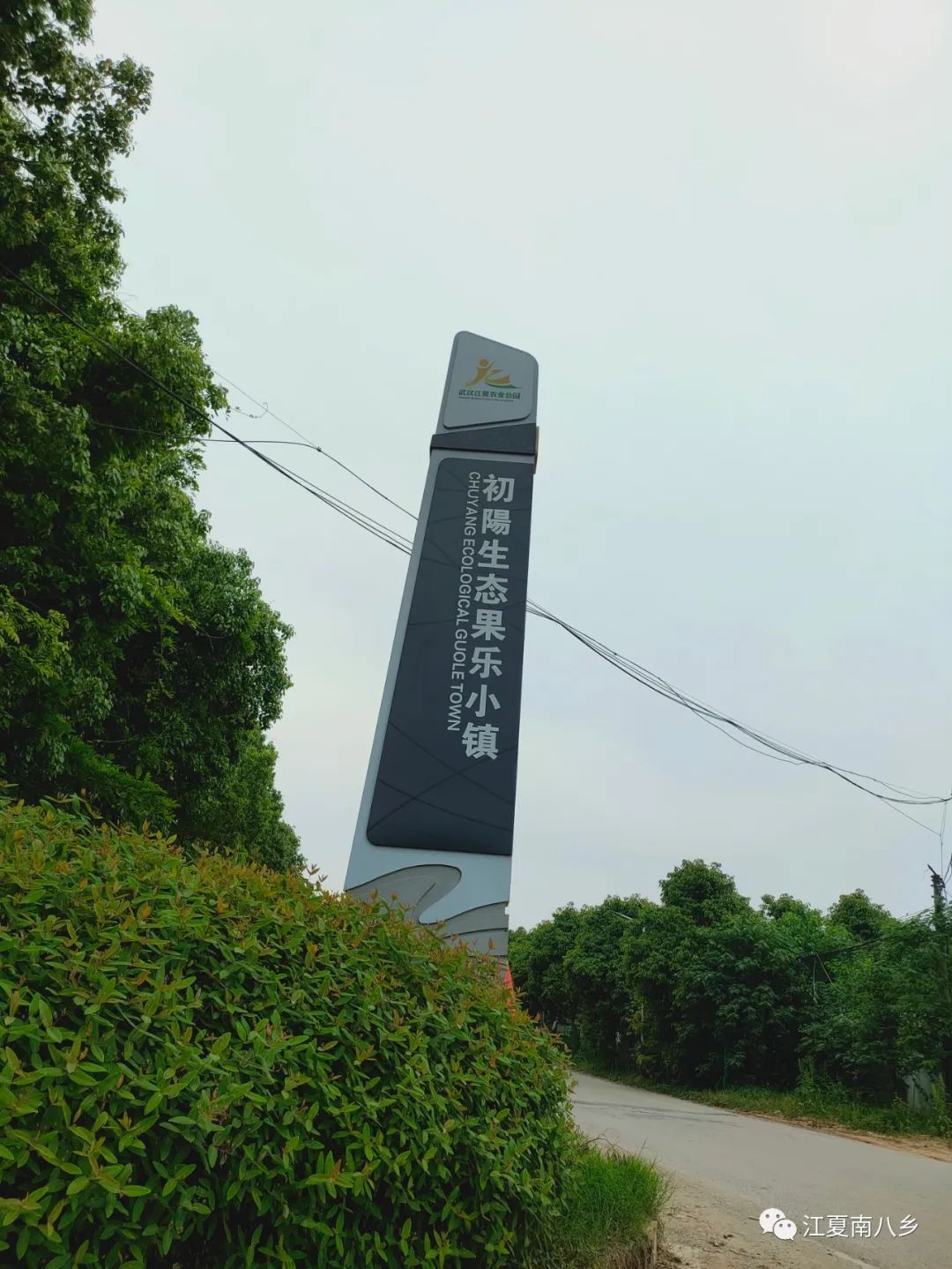 “五一”江夏北、江夏南、双溪桥、涂家垴、谷城县见闻