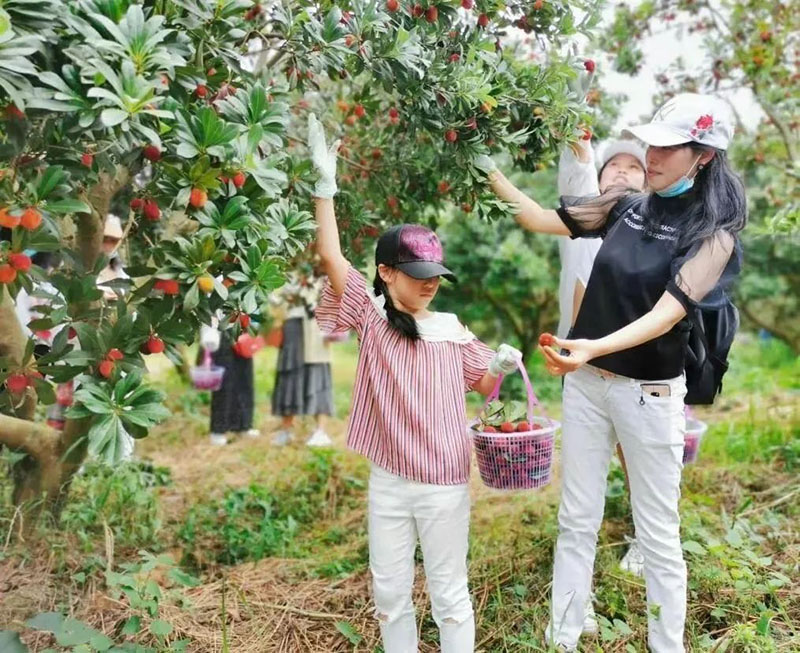 这里是梁子湖畔的快乐老家，这里有着80、90的儿时记忆，江夏云稼慢乡