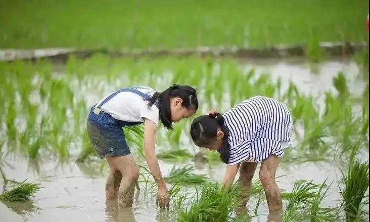 这里是梁子湖畔的快乐老家，这里有着80、90的儿时记忆，江夏云稼慢乡