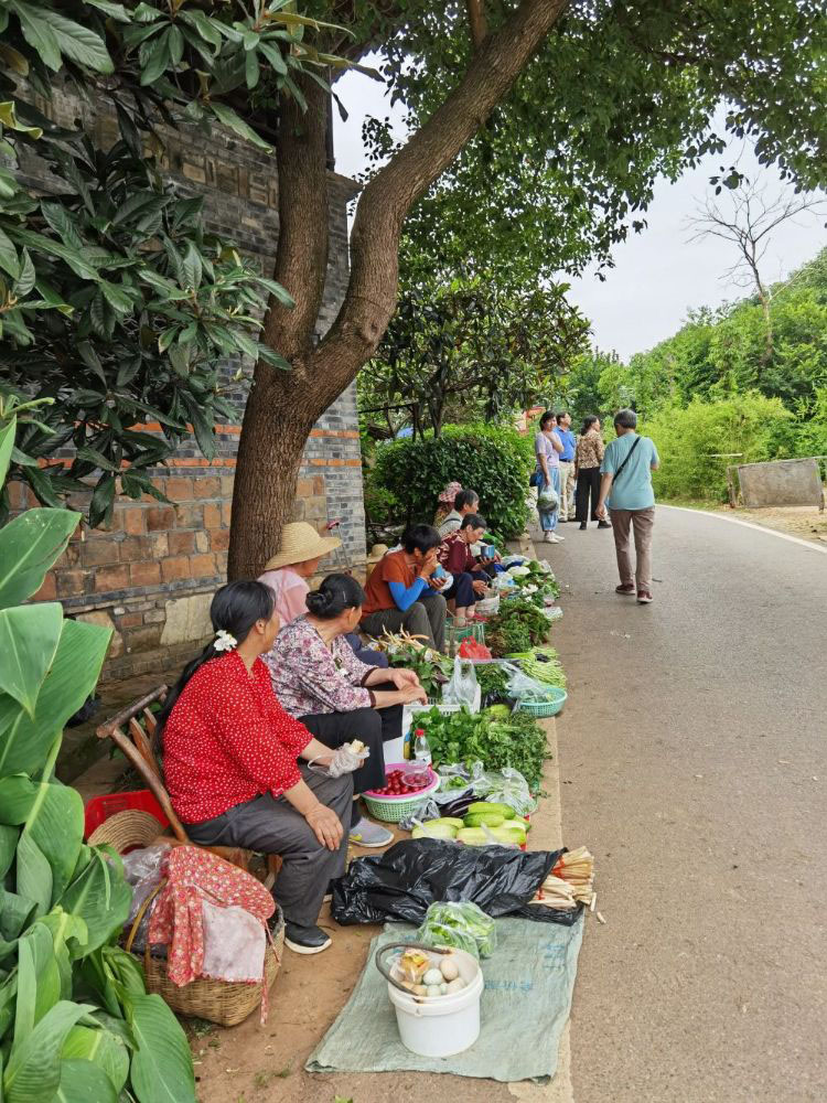 在武汉市江夏区，靠近梁子湖几公里的地方，有一个美丽乡村——小朱塆