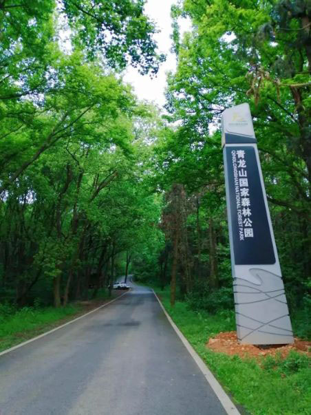 人少又凉快，江夏这三个小众宝藏地夏日必打卡！