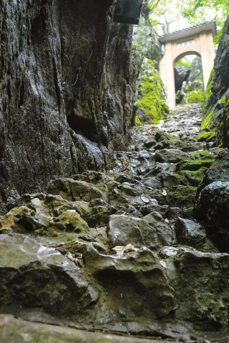人少又凉快，江夏这三个小众宝藏地夏日必打卡！
