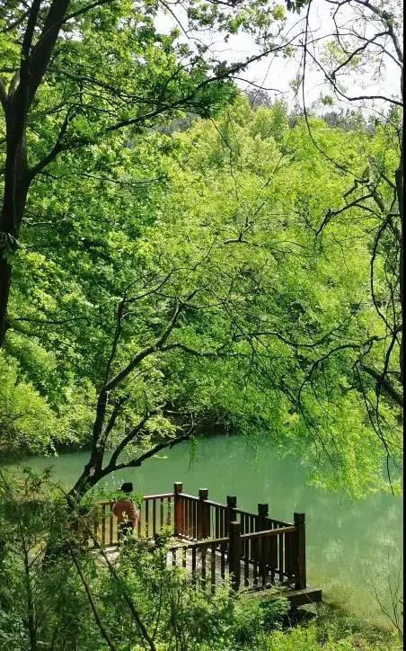 人少又凉快，江夏这三个小众宝藏地夏日必打卡！