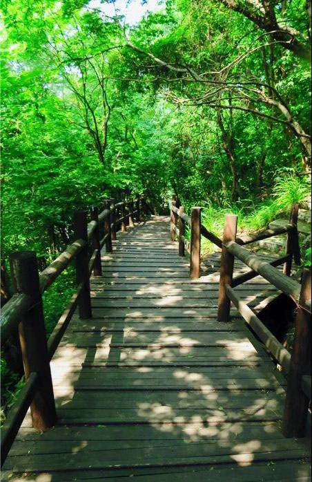 人少又凉快，江夏这三个小众宝藏地夏日必打卡！