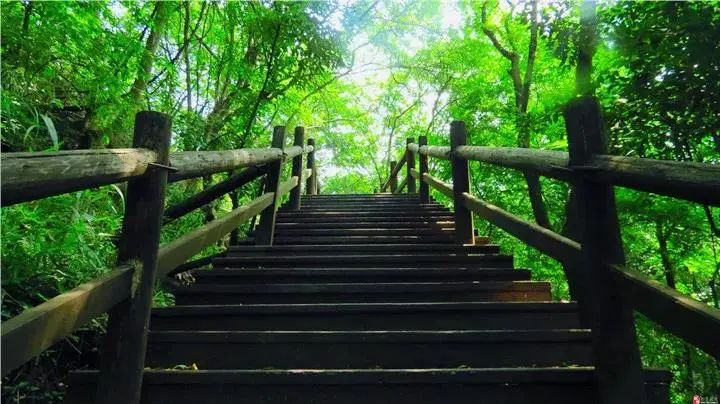 人少又凉快，江夏这三个小众宝藏地夏日必打卡！