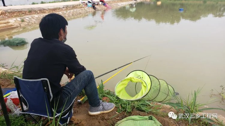 来了不想走！生态宜居江夏古村落，老屋穆绘就武汉美丽乡村新画卷