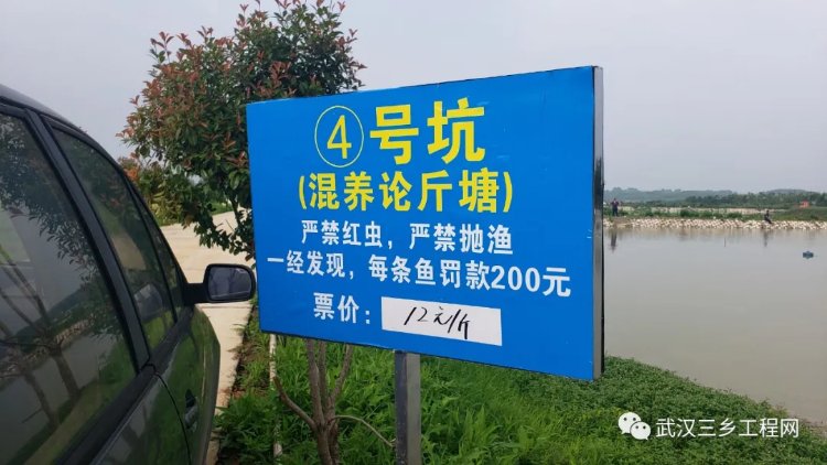 来了不想走！生态宜居江夏古村落，老屋穆绘就武汉美丽乡村新画卷