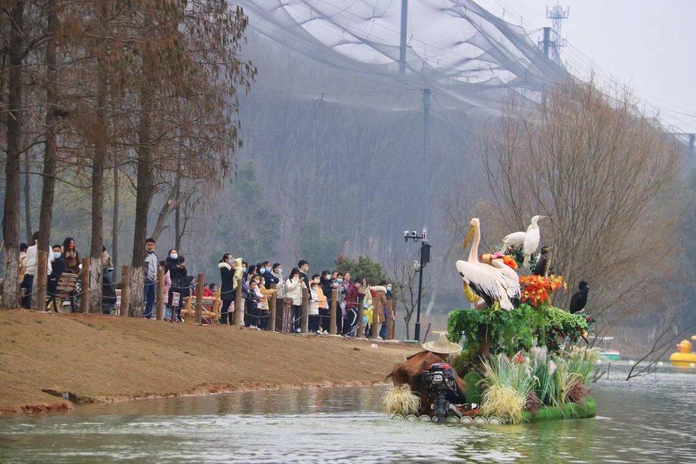 春节期间，武汉文旅市场惠民大餐年味浓、暖意足