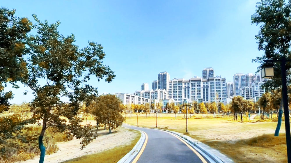 军运村边的僻静公园，建在武汉黄家湖畔，绵延树林浩瀚湖景美醉了
