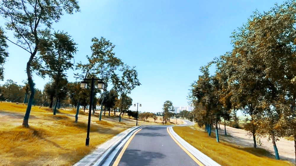 军运村边的僻静公园，建在武汉黄家湖畔，绵延树林浩瀚湖景美醉了