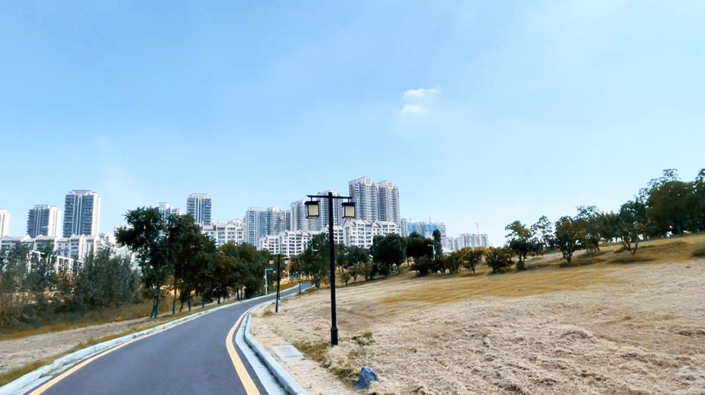 军运村边的僻静公园，建在武汉黄家湖畔，绵延树林浩瀚湖景美醉了