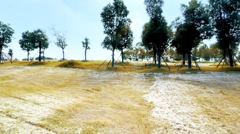 军运村边的僻静公园，建在武汉黄家湖畔，绵延树林浩瀚湖景美醉了