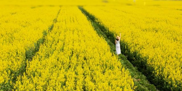 武汉那么大，江夏去赏花！