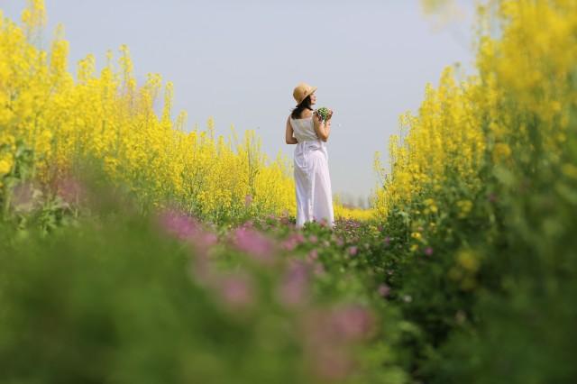 武汉那么大，江夏去赏花！