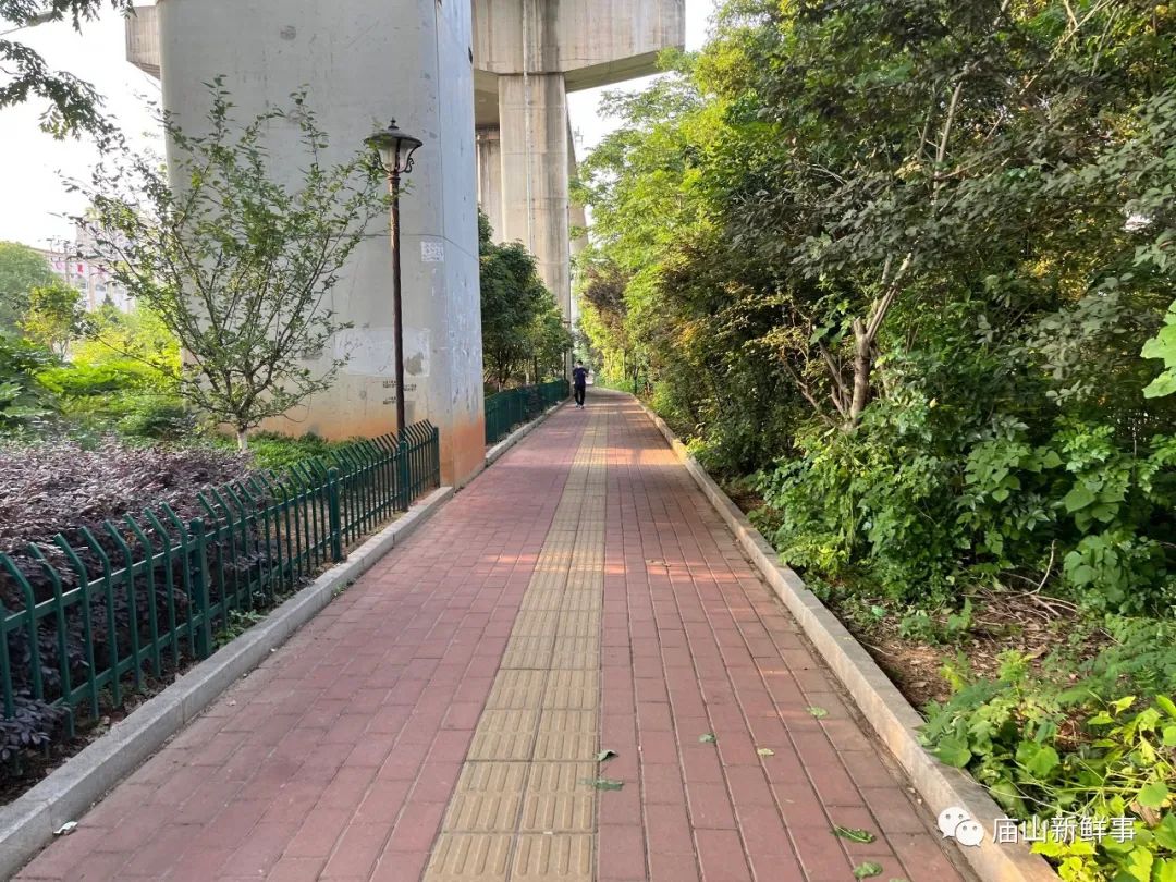 网友建言！打通并设立江夏大道专用非机动车道