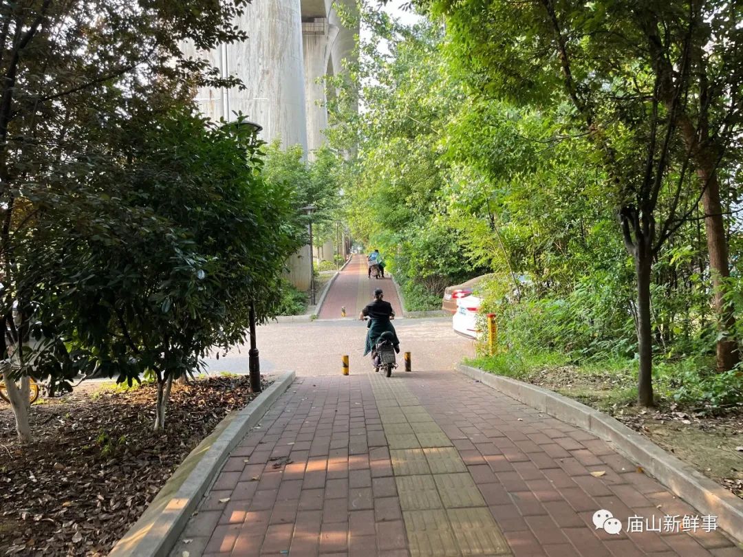网友建言！打通并设立江夏大道专用非机动车道