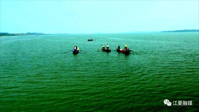 变身景观河！江夏完成梁子湖16条入湖港渠治理