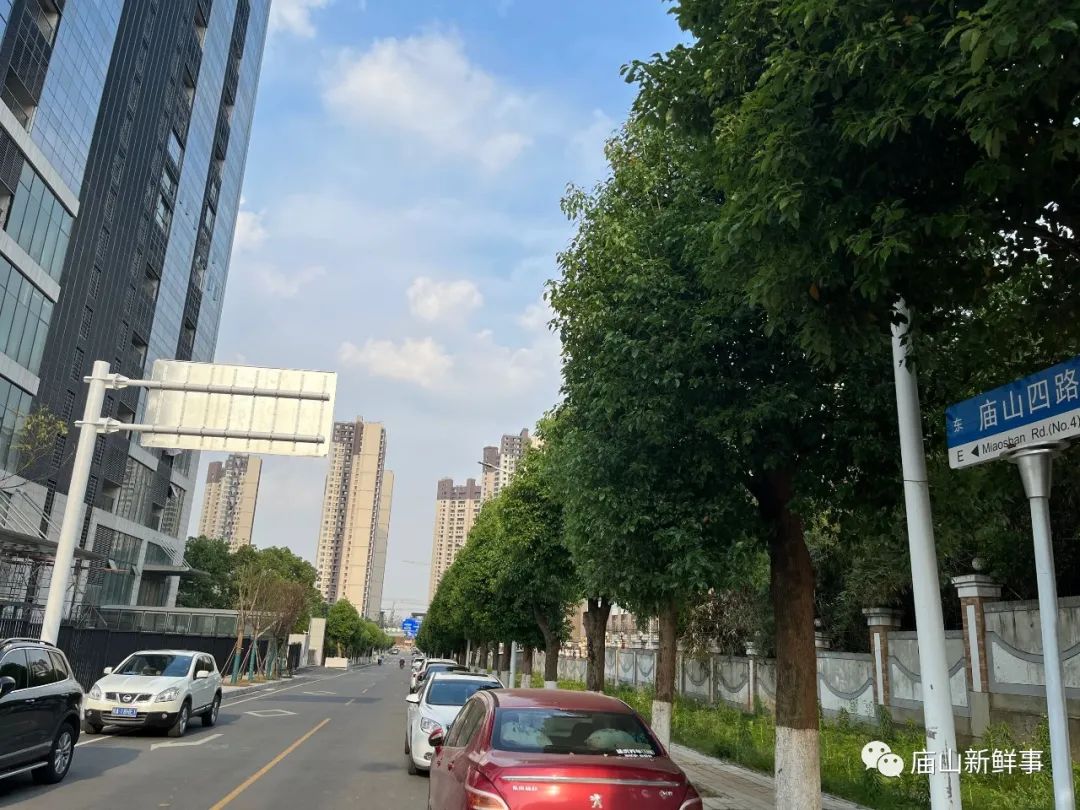江夏庙山这条道路已悄然通车！未来车流量必将大增