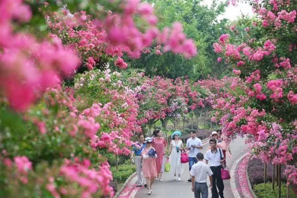 这些旅游线路发布，让你清凉一夏！