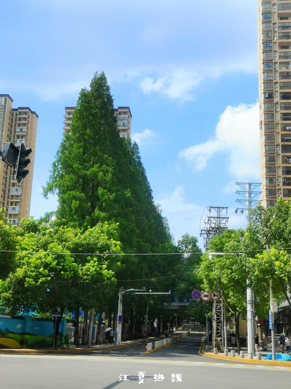 江夏的这些道路旁，正在悄悄发生变化