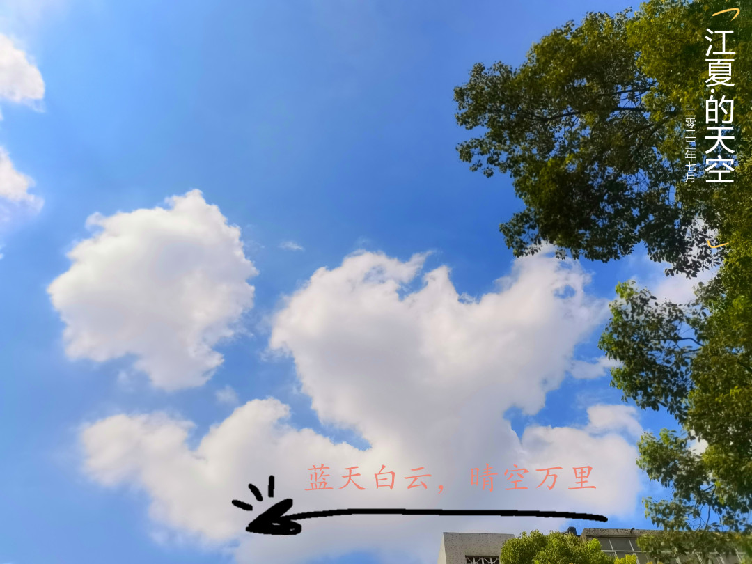 江夏的这些道路旁，正在悄悄发生变化
