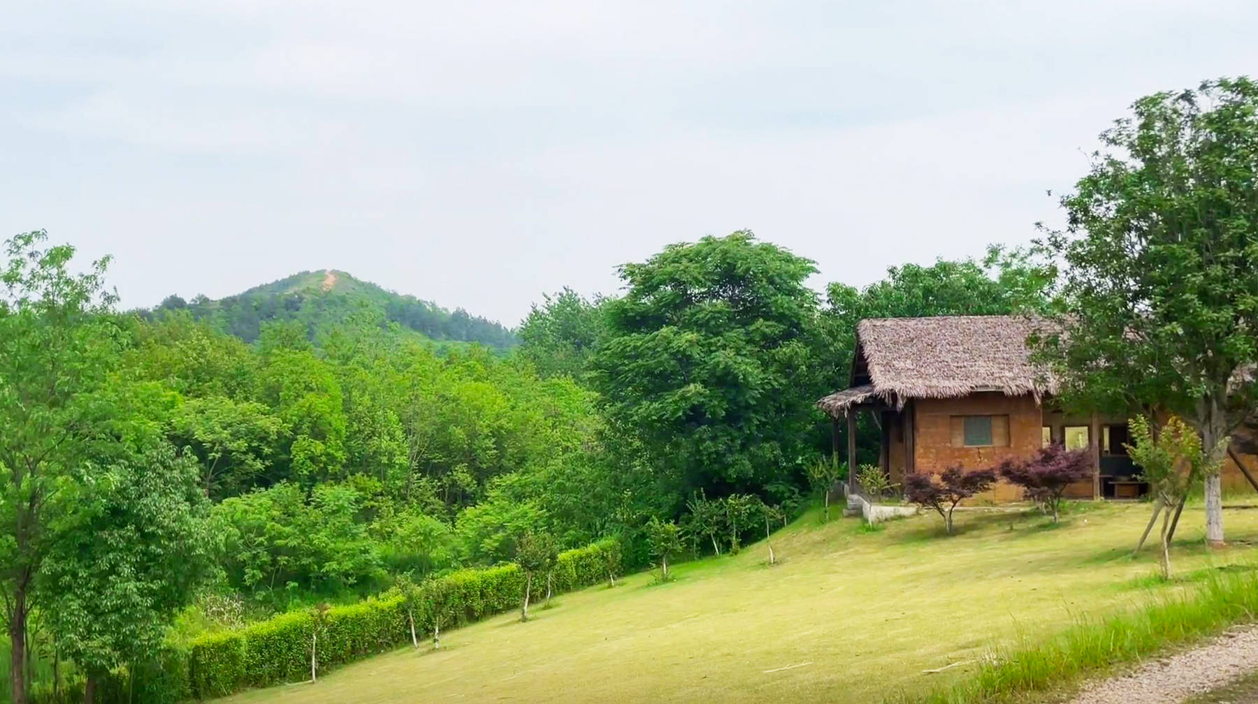 武汉城区大山脚下有座农场，乘地铁前往，肥沃庄稼地充满乡村气息