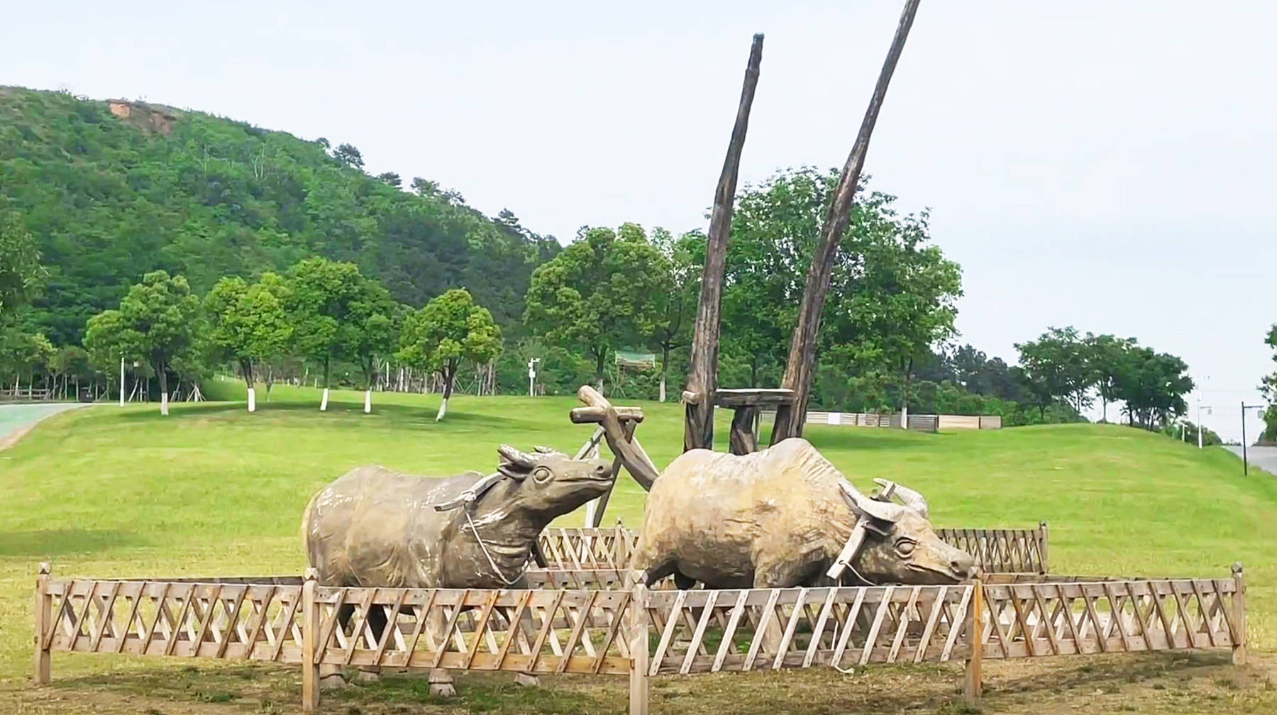 武汉城区大山脚下有座农场，乘地铁前往，肥沃庄稼地充满乡村气息